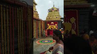 venkateswara swamy devasthanam || vadapalli temple || konaseema tirumala || godhavari temples