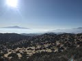 Joshua Tree National Park: Panorama Loop