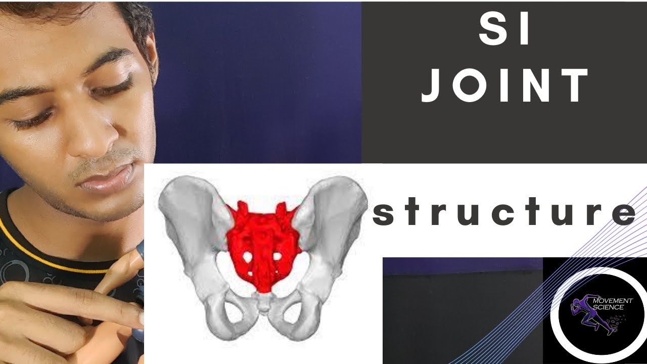 SI JOINT STRUCTURE (BIOMECHANICS OF SPINE)Physiotherapy Tutorial - YouTube