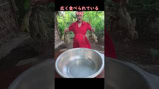 【中国動画解説】カエルの大群がこっちを見る動画を解説。中国のカエル養殖場 #ウシガエル #牛蛙 #中国料理 #大群 #蛙食 #こっち見んな #迫力 #FrogFarm #Bullfrog