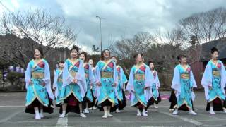 2012 常陸国YOSAKOI祭りミニフェスティバル（常陸國大子連）