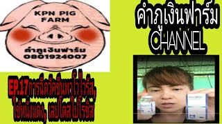 EP.17การฉีดวัคซีน​พาโวไวรัส, ไข้หนังแดง, เลปโตสไปโรซิส#คำ​ภู​เงิน​ฟาร์ม​CHANNEL​