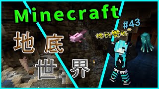 【Minecraft】1.17原味生存:第43集 地底世界~1.17的地形介紹~【當個創世神】