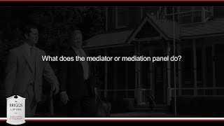 What does the mediator or mediation panel do?