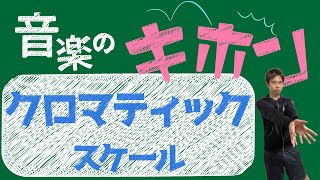 【クロマティックスケールとは何か？】クロマチックともいうヤツ【音楽の基本】