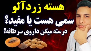 هسته زردآلو چه فوایدی داره و آیا واقعا داروی ضد سرطانه یا سمیه؟| عوارض خطرناک هسته زردآلو