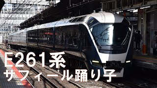 E261系特急サフィール踊り子横浜駅発車シーン（ミュージックホーンあり）