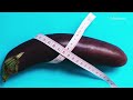 benefits of eggplant eggplant can cure diabetes too