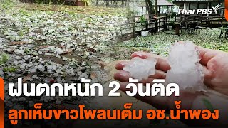 ฝนตกหนัก 2 วันติด ลูกเห็บขาวโพลนเต็ม อช.น้ำพอง | ข่าวเที่ยง ไทยพีบีเอส | 5 พ.ค. 67