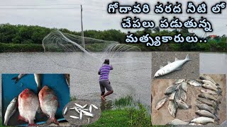 Fishermen fishing in Godavari flood water | గోదావరి వరద నీటి లో చేపలు పడుతున్న మత్స్యకారులు.