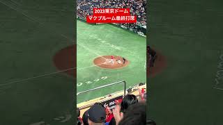 2023東京ドームマグブルーム最終打席！#youtube #カープ #プロ野球 #shorts #マクブルーム