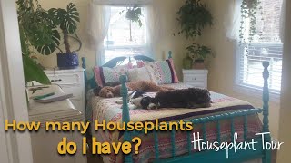 New Houseplant Tour | How many Houseplants do I have?