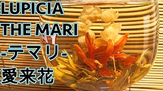 ギフトにおすすめ 工芸茶鑑賞 ジャスミンティー LUPICIAの愛来花