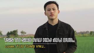 tsis tu siab rau koj zaj dub . cover.tub tswb vwj