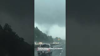 Tornado in Tuscaloosa County, Alabama