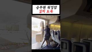 ✈️ 이거 먹으러 11시간 비행 #승무원