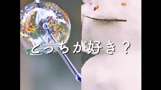 【比較動画】夏と冬、あなたはどっちが好き？