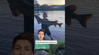 Braxton with a Musky in Wisconsin #musky #fishingvideos #fishingtips