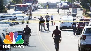 Rep. Steve Scalise, Others Shot At Incident In Virginia | NBC News