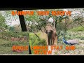 Jungle Lodge Resorts (JLR) Bandipur Jeep Safari Informative Video in hindi