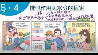 110學年國一上生物:5-4排泄作用與水分的恆定(課本導讀)