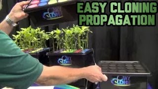 Oxyclone Simply Easy Cloning Propagation Machine - Propagating Clones Cheap Easy Best Way Cuttings