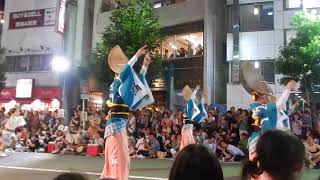 胡蝶連　２０１７　高円寺阿波踊り