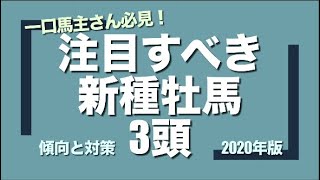 一口馬主さん必見！ ドレフォン、シルバーステート、イスラボニータ産駒の傾向と対策 2020年版　【計算する血統】No.25