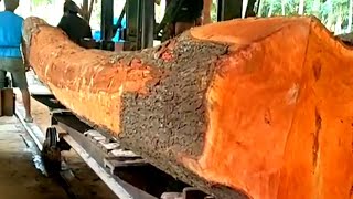 A touching story in the process of sawing red mahogany wood || Saw Mills