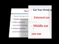 anatomy of the ear nervous system interesting video with amharic speech part 1