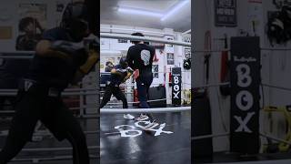 趣味で週1通い32歳(紺T)VS44歳トレーナー(黒T)のスパーリング1R目