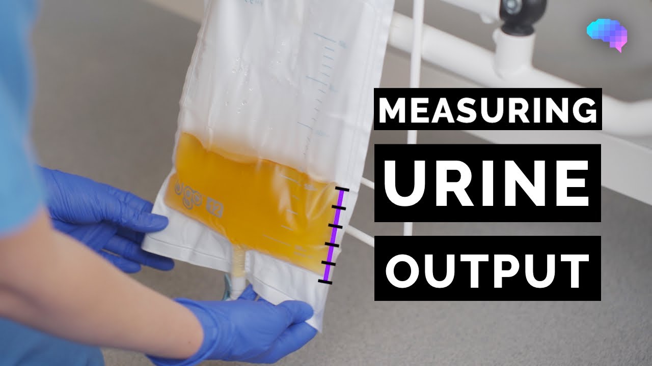 What Are Three Types Of Graduate Containers Used To Measure Urine