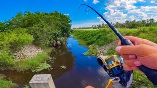 MULIT-SPECIES ROADSIDE UNEXPECTED FISH!! - SOUTH FLORIDA TO SOUTH CAROLINA - GET REEL BASS FISHING