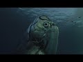 Giant Sea Serpent, Meet the Myth - Go Wild