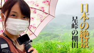 【新潟県】絶景スポット！雨でも美しい星峠の棚田に行ってみた【エブリイで日本一周女子ひとり旅Vlog】