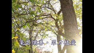 【證嚴上人衲履足跡】20171118 - 毫芒懷善．眾力植愛