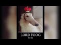 lord foog the 2st