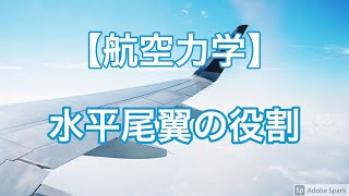 【航空力学】水平尾翼の役割