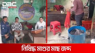 নাটোরে নিষিদ্ধ মাগুর মাছ জব্দ | DBC NEWS