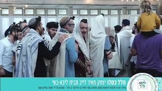 יצחק מאיר - הלל ראש חודש כסלו - לייב מבית ליבא-בעי פרדס חנה