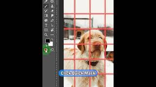 Remove object in Photoshop