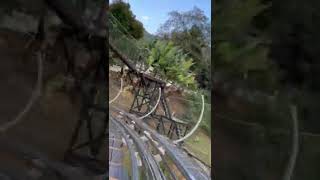 Pongyang Jungle Coaster จังเกิ้ลโคสเตอร์ สนุกจนต้องต่อรอบสอง! #chiangmai #เชียงใหม่ #youtubeshort