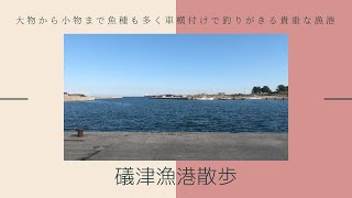 磯津漁港散歩！車横付けOKの漁港で魚影も濃い釣り場です