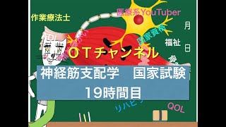 神経筋支配学（国家試験/共通）　19時間目「作業療法士（OT）の為の国家試験対策」