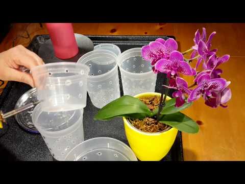재활용 플라스틱 투명용기에 구멍 뚫기 (Making holes in a clear plastic container) 재활용 플라스틱 투명용기에 구멍 뚫기 (Making holes in a clear plastic container)