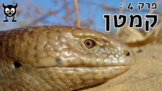 קמטן - מפלצות קטנות - פרק 4