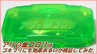 蟻戦争Ⅲ＃108 「アリの巣コロリ」はゴキブリの巣もコロリしてくれるのか検証してみた。 編～Does attractant to ants work on cockroaches?～