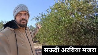 🇸🇦मजरा में डिवटी तीन घंटे सेलरी साठ हजार जानकर हो जाओगे हैरान  #dailyvlog #asnavlog