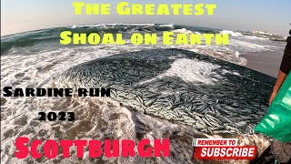 OFFROAD4LIFE, The Greatest Shoal on Earth, Scottburgh, KZN, South Africa