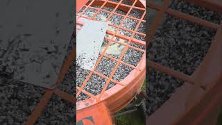 Ben Minto Building Contractor - Resin Driveways